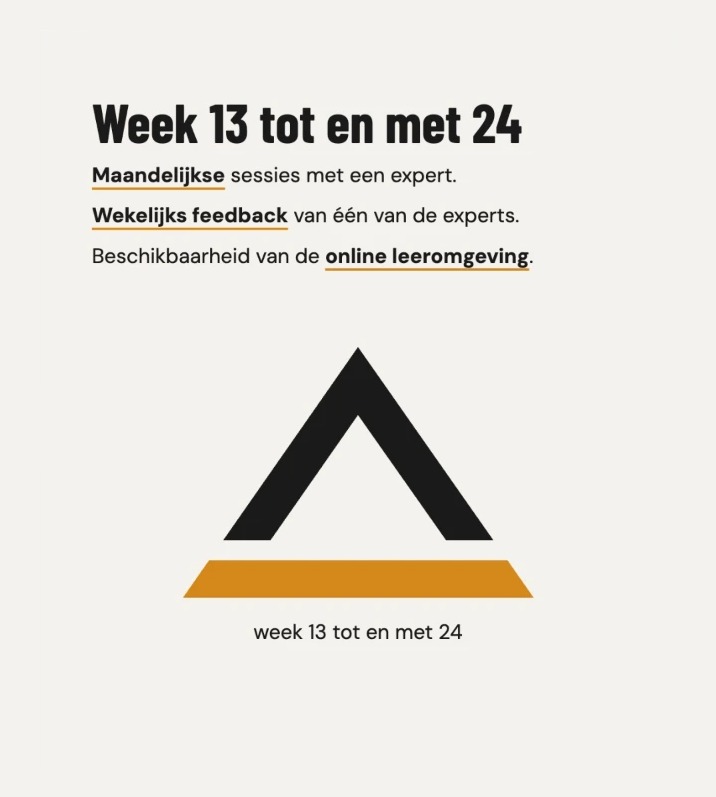 Week 13 tot en met 24: maandelijkse sessies, wekelijks feedback en de online leeromgeving