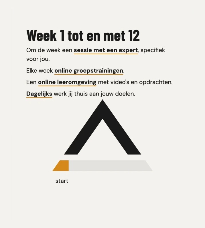 Week 1 tot en met 12: sessies, groepstrainingen, online leeromgeving en dagelijks werken aan je doelen